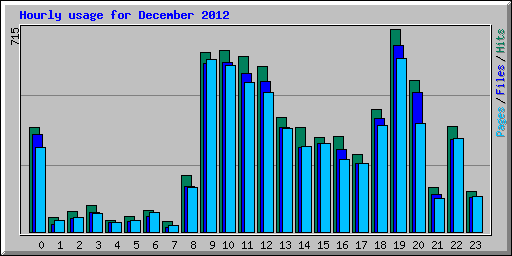 Hourly usage for December 2012